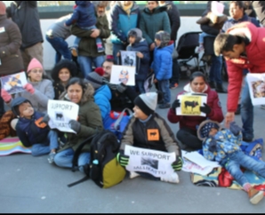 London Tamil Peoples Support Jallikattu-Images